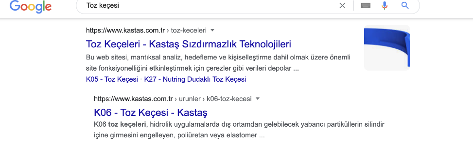 kastas.com.tr