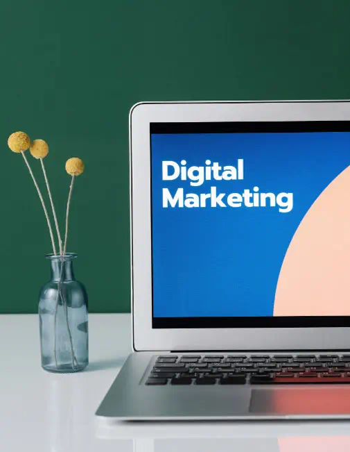 Arama
Motoru Optimizasyonu (SEO)