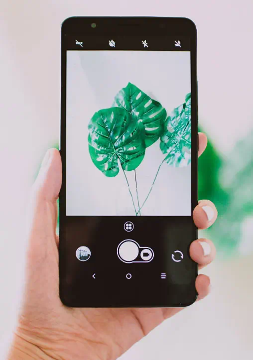 Sosyal Medya Yönetimi